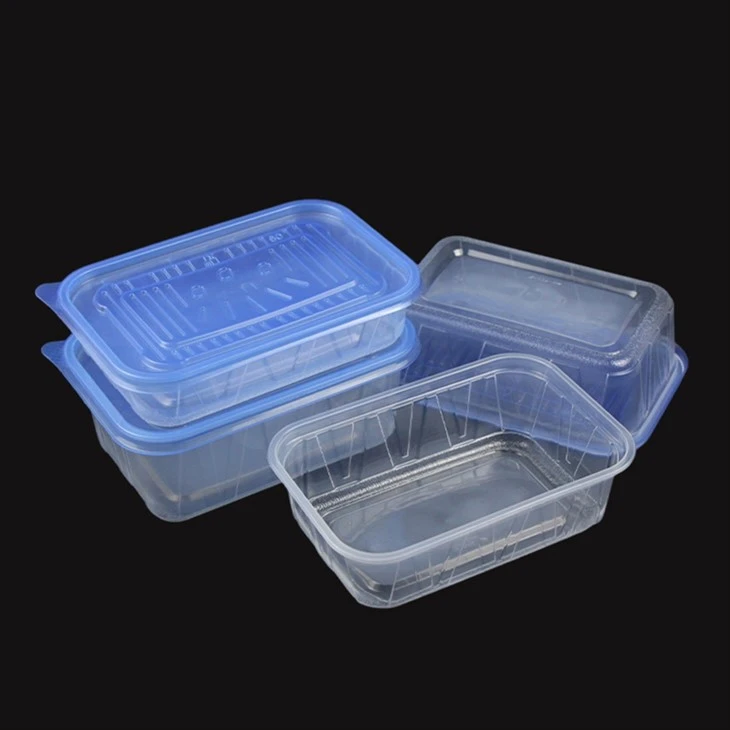 Microwave Food Grade Fruit Preservation Plastic Lunch Box