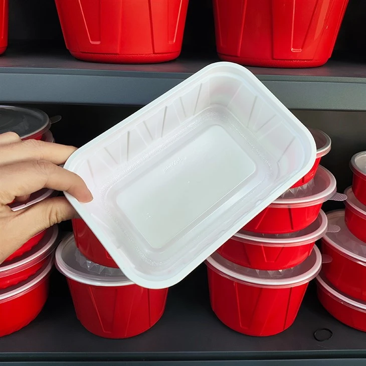 Rectangle Disposable Plastic Take Away Food Containers
