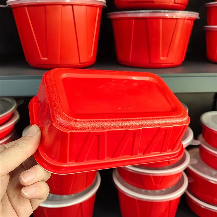 Rectangle Disposable Plastic Take Away Food Containers