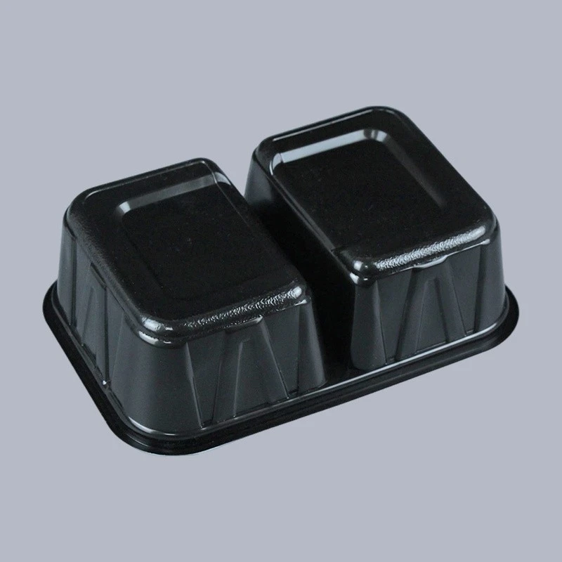 2 Compartment Lunch Box Rectangular Food Plastic Tableware