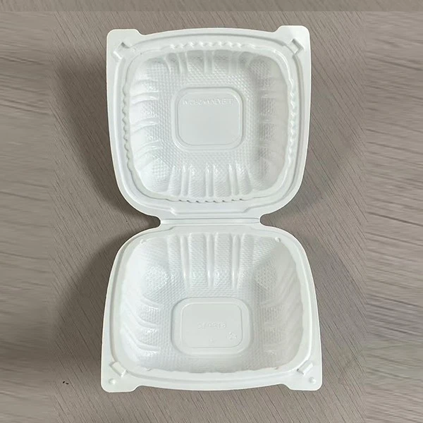6x9 One-piece American Disposable Lunch Box Plastic