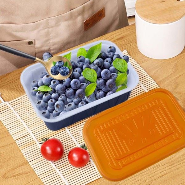 Disposable Lunch Box With Breathable Hole Cover