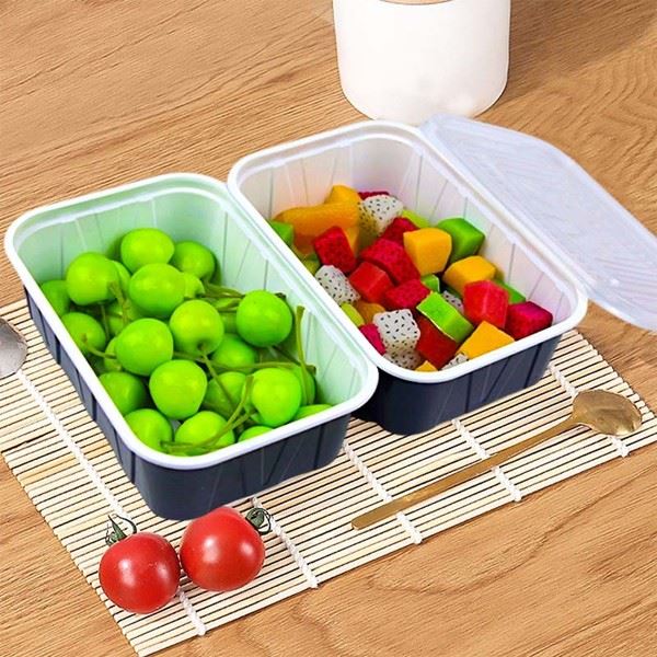 Disposable Lunch Box With Breathable Hole Cover