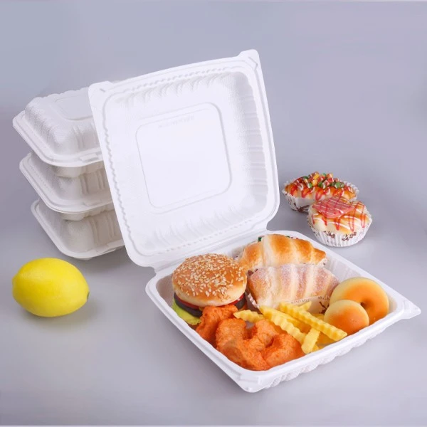 Disposable Fast Food Box Made Of White Plastic