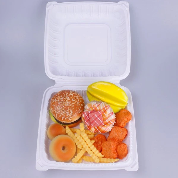 Disposable Fast Food Box Made Of White Plastic