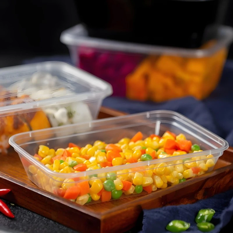 Disposable Plastic Square Box