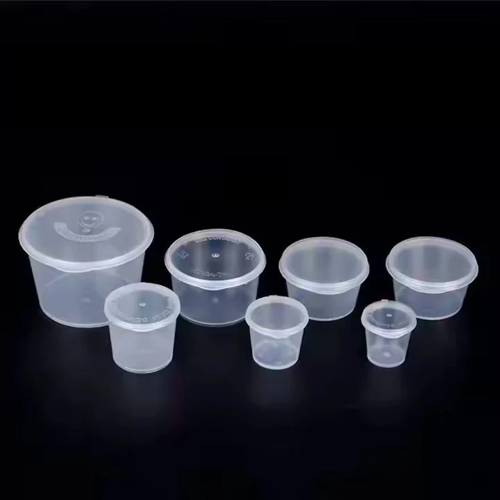 SauceContainer With Hinged Lid