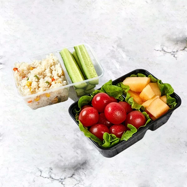 Divided Transparent Double Compartment Bento Lunch Box