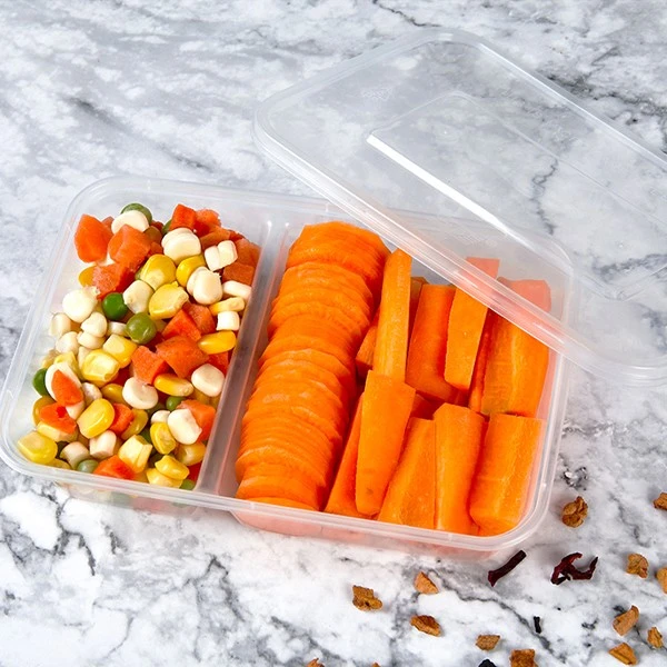 Divided Transparent Double Compartment Bento Lunch Box