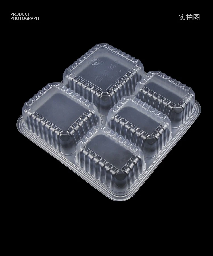 Multi Compartment Bento Box