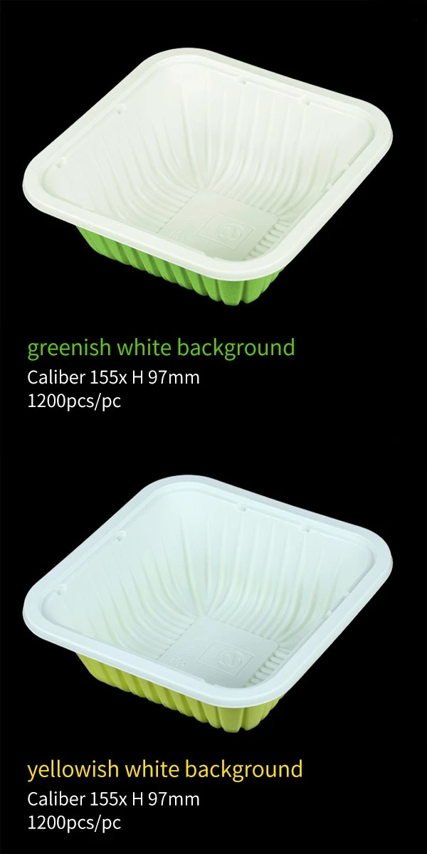 product-600-1200