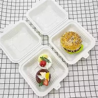 6x9 One-piece American Disposable Lunch Box Plastic
