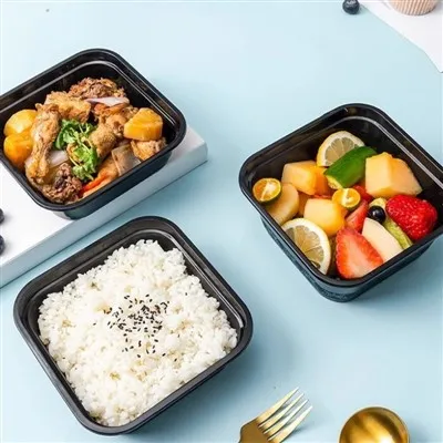 Black Square Disposable PP Food-grade Plastic Lunch Box Lid Microwavable ISO9001 Certified Thickened Walls For Takeout Bento Use