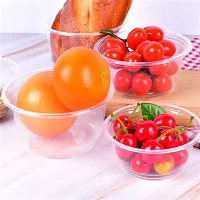 Blister Transparent Environmental Protection Bowl Packing Box