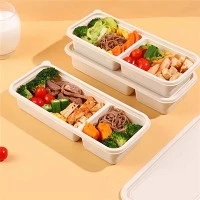 Degradable Japanese Rectangular Packaging Lunch Box