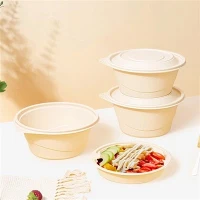 Elliptical Disposable Biodegradable Packaging Lunch Box