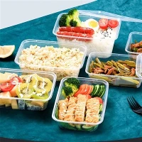 Wholesale Transparent Square Food Containers