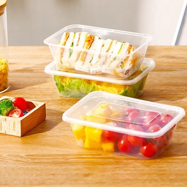 500/650/750/1000 Multi Specification Rectangular Lunch Box With Lid