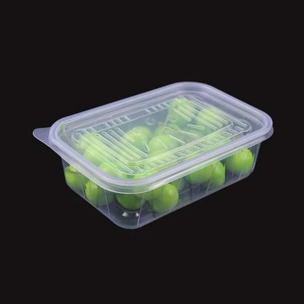 Hot Selling Rectangle Disposable Plastic Take Away Food Containers