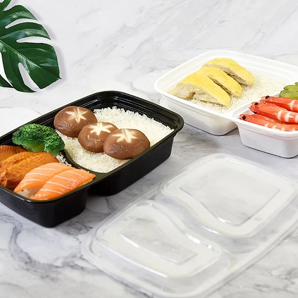 Transparent One-piece Partitioned Two Compartment Lunch Box